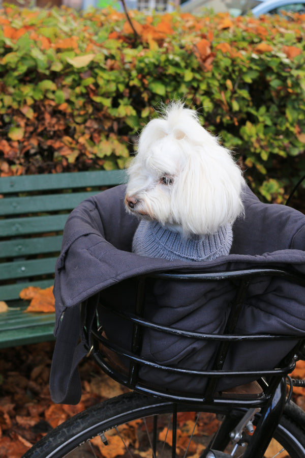 RIO dog bag 50x32x30cm NOT applicable with cross body handle