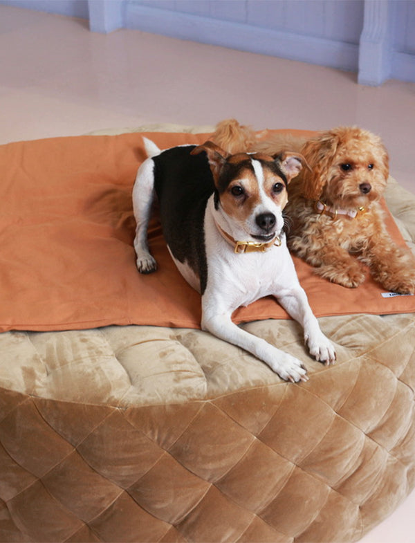 Lysebrun Duvet