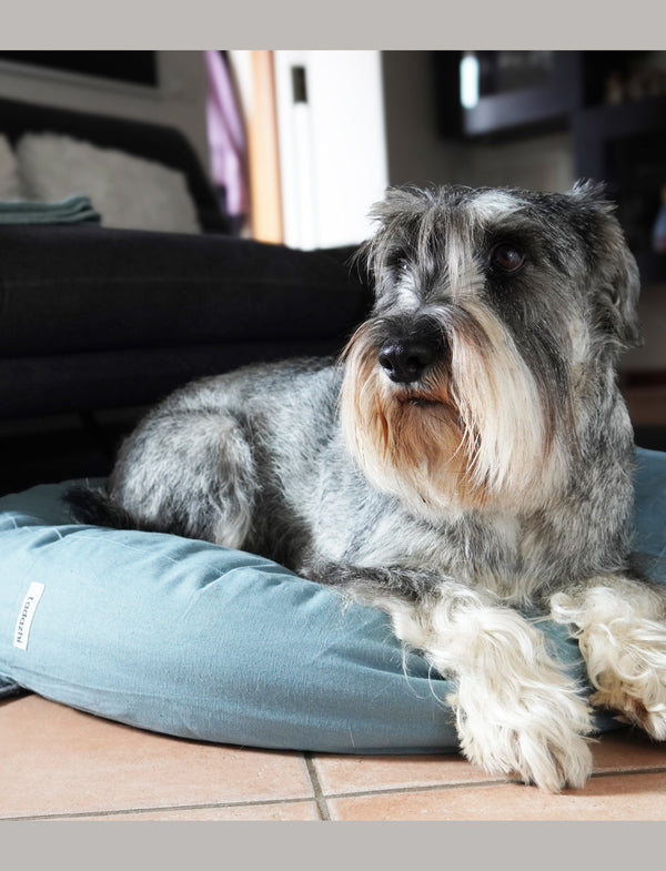 Poespas bed blue