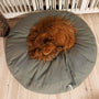 dog on round Poespas dog cushion