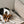 Duvet dog blanket Sand