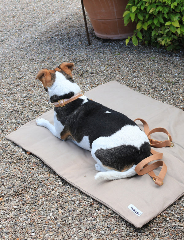 Duvet dog blanket Sand