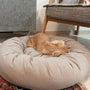 dachshund sleeping in donut bed from tadazhi