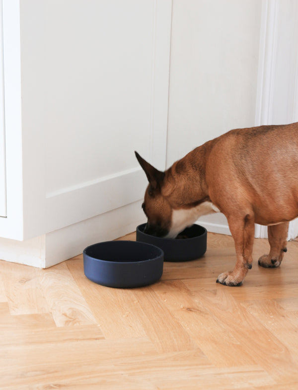 Dog food bowl Warm grey