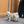 Luna Harness & Leash Set PRE-ORDER + PALA food Gift