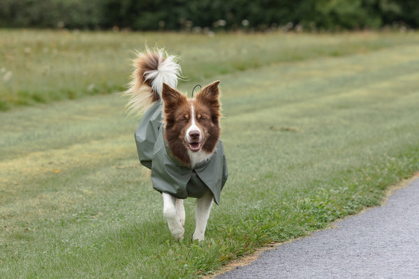 Raincoat Green
