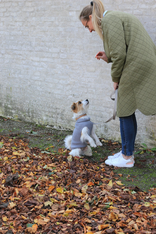 Grå uld hundesweater til tæver