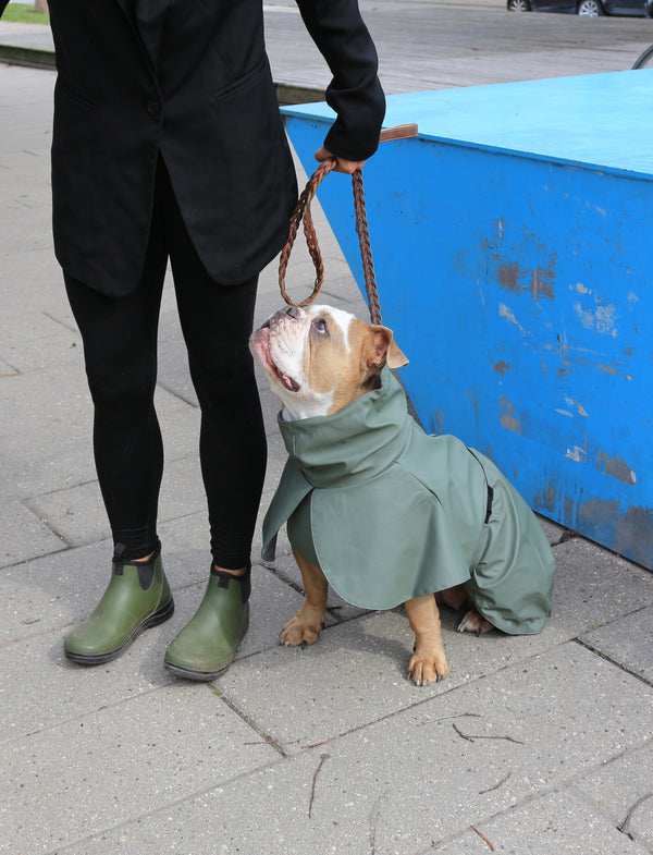 Raincoat Green