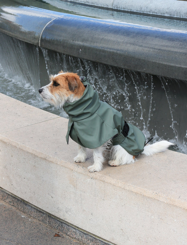 Raincoat Green