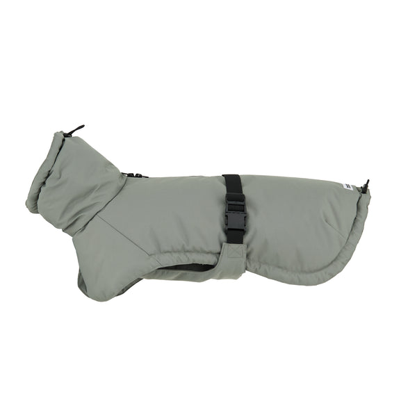 Winter Jacket Green