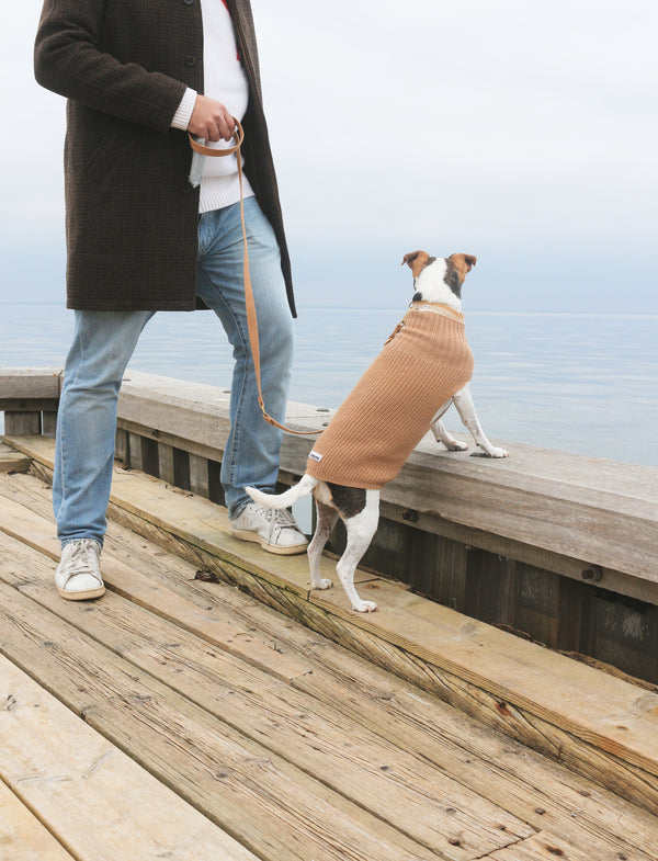 Wool dogsweater Unisex Beige