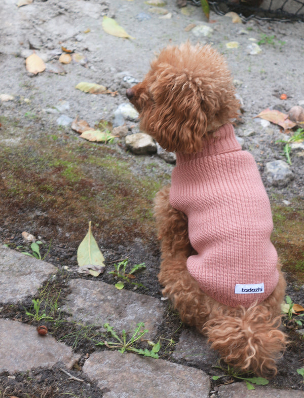 Female Wool dog sweater Rose