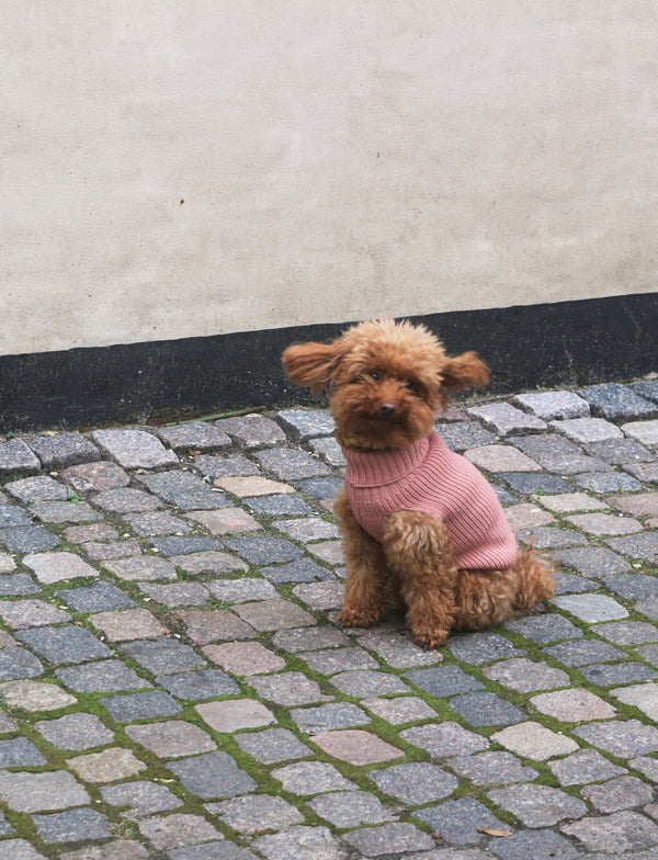 Rose uld hundesweater til tæver