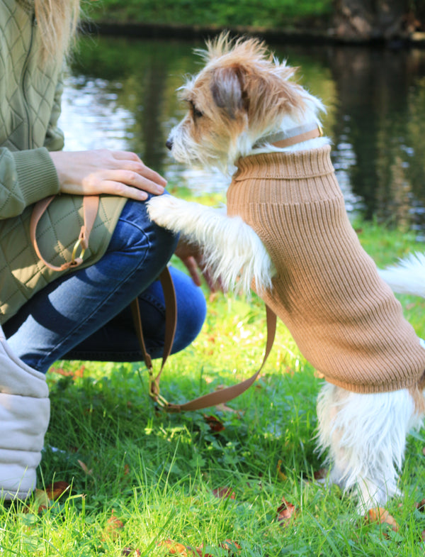 Beige uld hundesweater til tæver