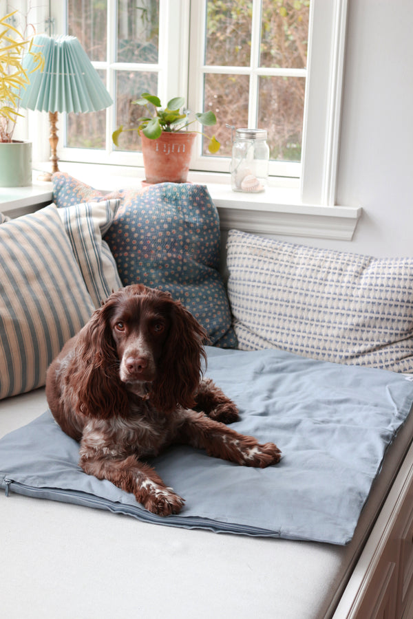 organic dog blanket with springer spaniel resting on it