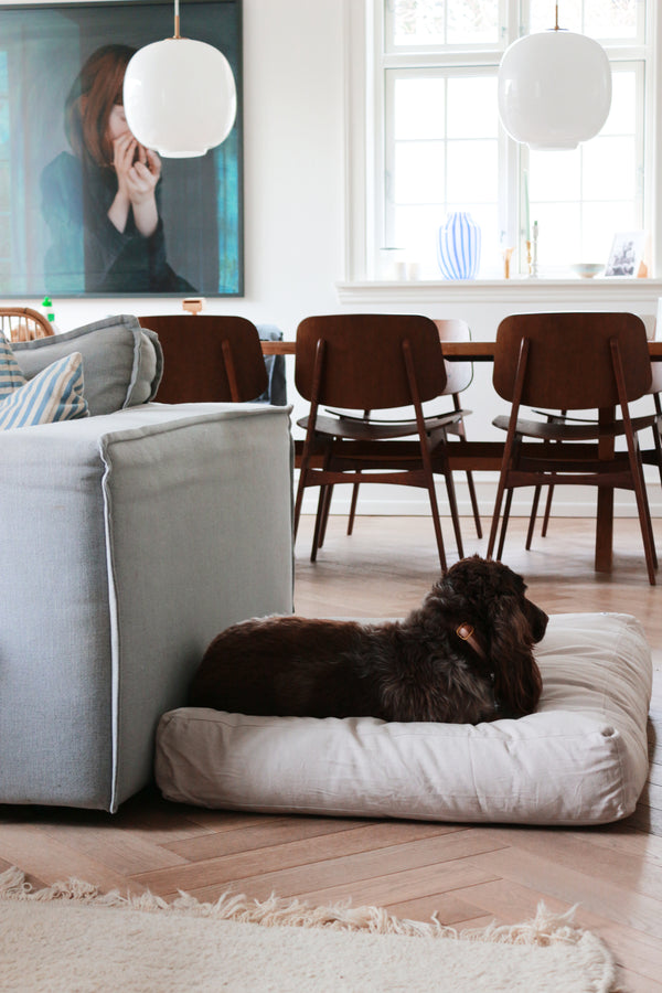 Scandinavian design dog cushion with a springer spaniel on it