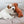 jack russell terrier playing on a timeless dog cushion