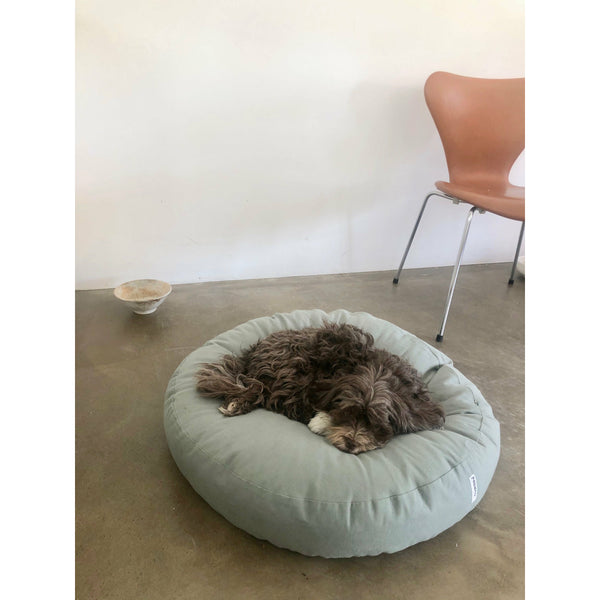 round design dog cushion with havanese dog resting on it