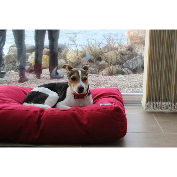 beautiful red dog cushion with a Danish Swedish farmdog on it
