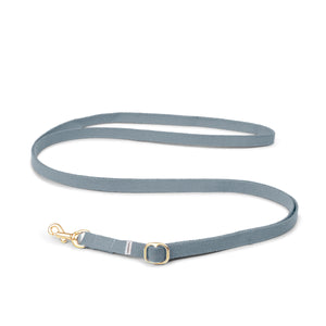 puppies dog leash in faded blue colour